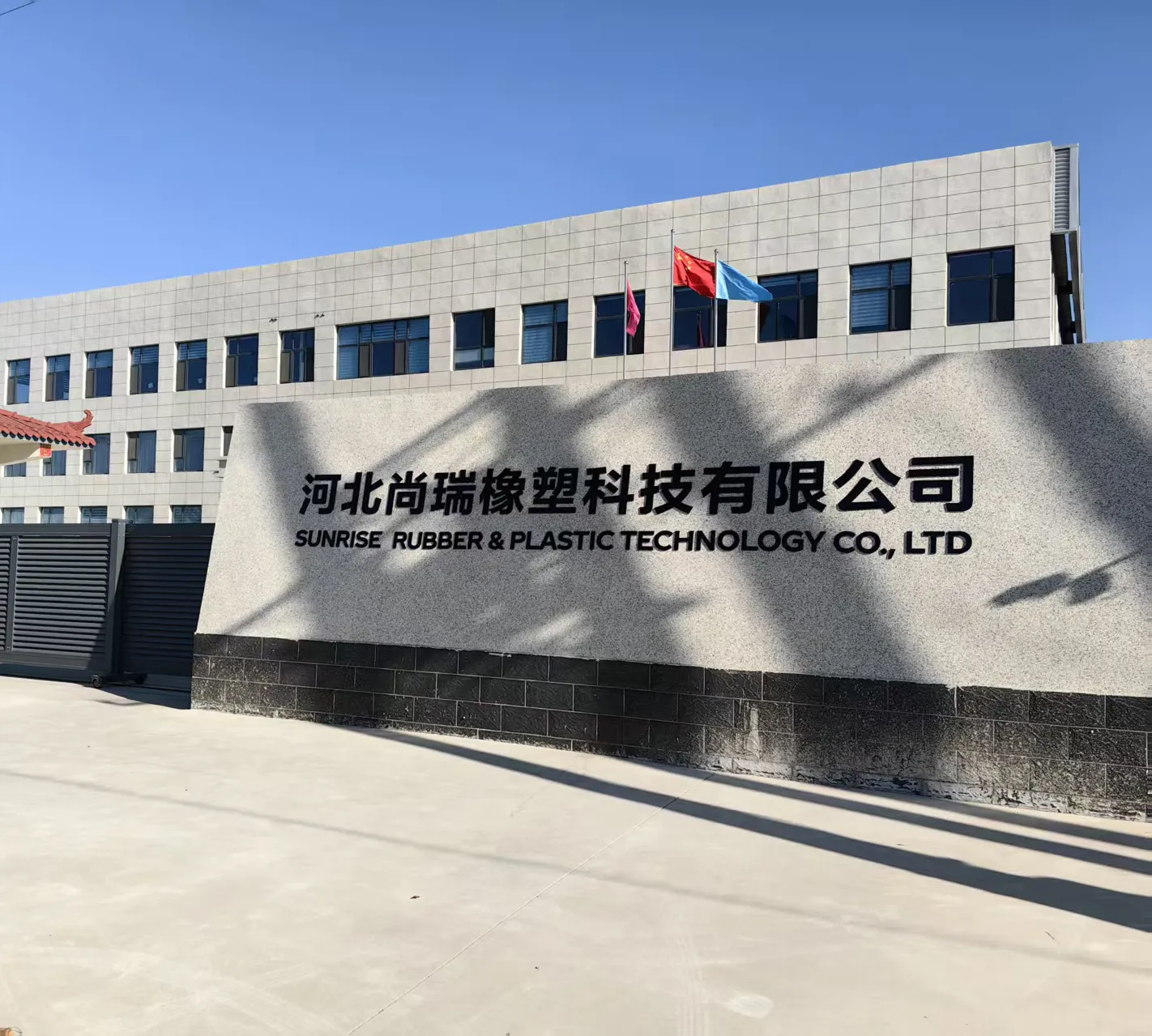 Rubber Transfer Mold